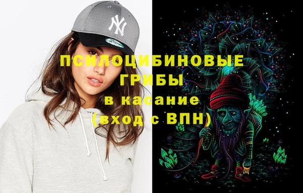 спайс Ельня