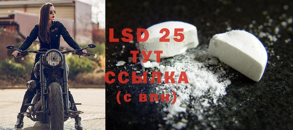 спайс Ельня
